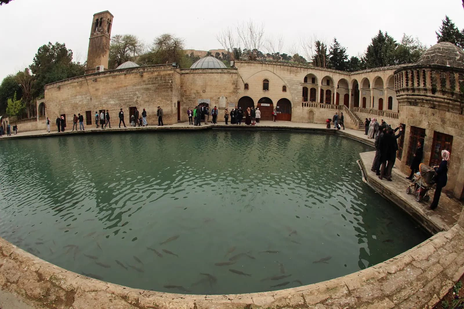 Balıklıgöl kıyısında ziyaretçiler ve arkada Halîlürrahman Camii'nin kare gövdeli minaresi