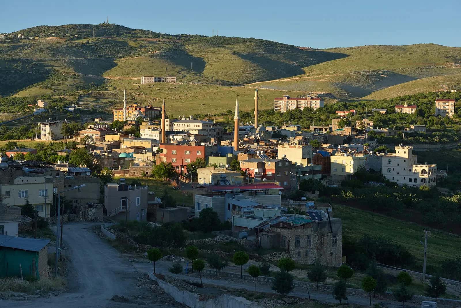 Yeşil tepelerin eteğinde Tillo (Aydınlar) kasabasının evleri ve minareleri