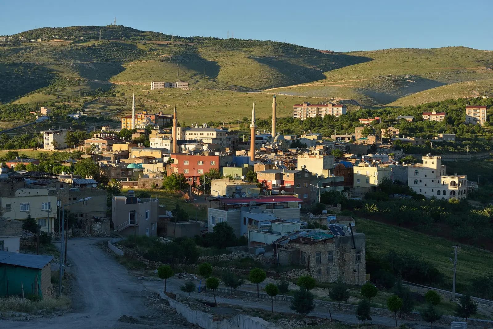 Yeşil tepelerin eteğinde Tillo (Aydınlar) kasabasının evleri ve minareleri