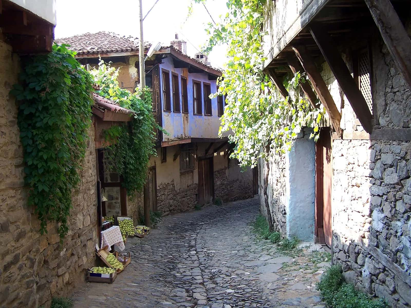 Cumalıkızık köyünde taş döşeli dar bir sokak ve iki katlı geleneksel evler.
