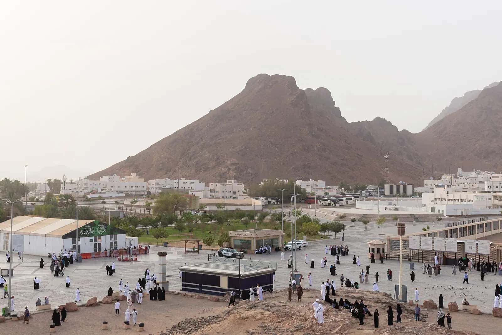 Medine'nin kuzeyinde yükselen Uhud Dağı