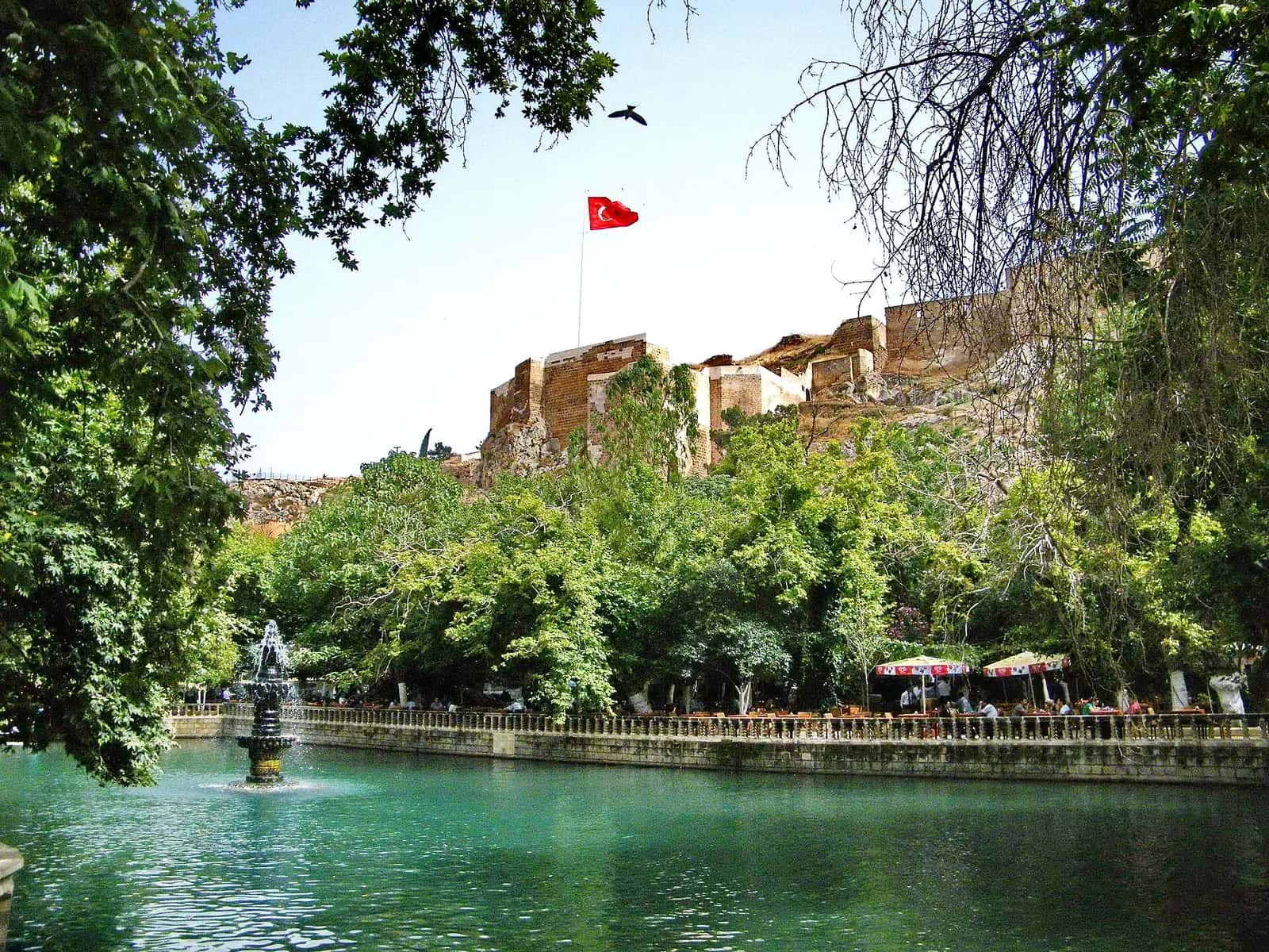 Aynzeliha Gölü'nün fıskiyeli suyu, çevresindeki ağaçlar ve arkada Urfa Kalesi