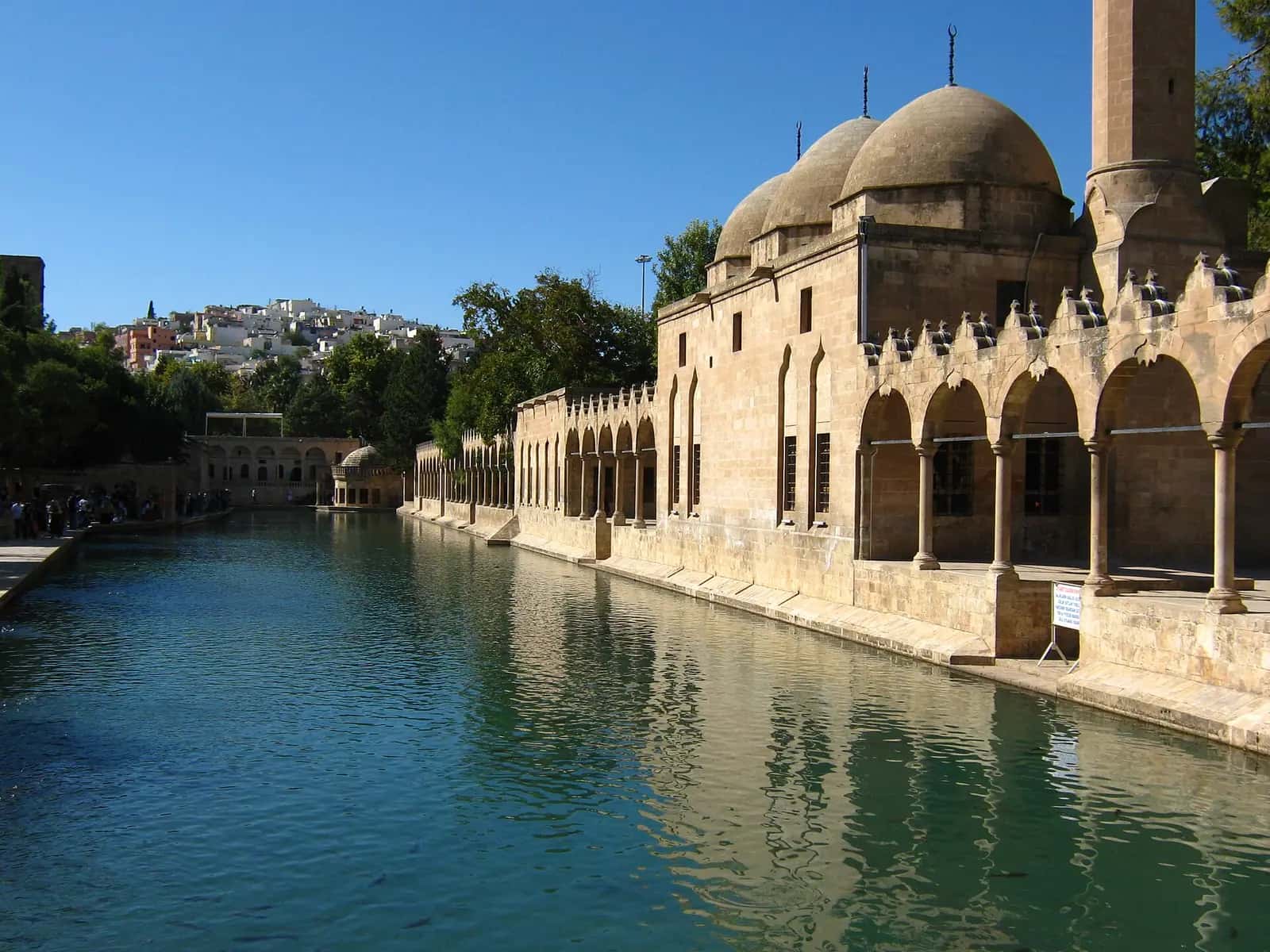 Balıklıgöl'ün yeşil suyu ve kıyısındaki revaklı medrese ile kubbeli cami